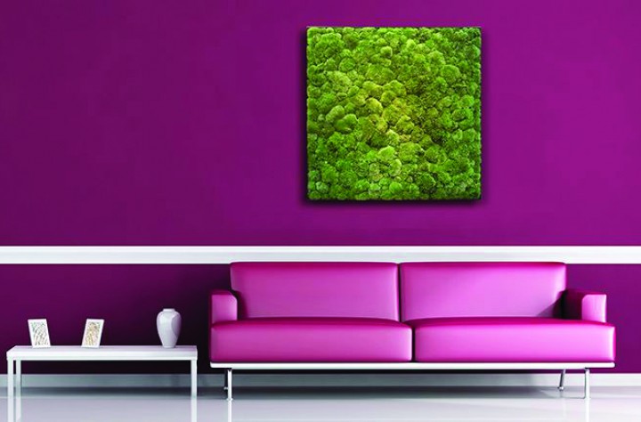 plant-edition-mossbilder (2) plant-edition-mossbilder (2)