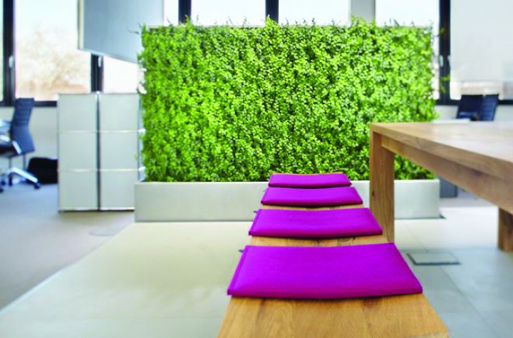 plant-edition-mur (9) plant-edition-mur (9)