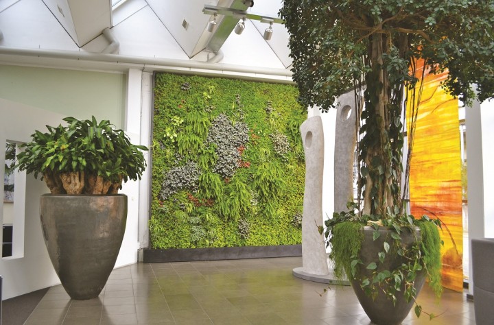 plant-edition-mur (3) plant-edition-mur (3)