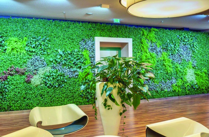 plant-edition-mur (20) plant-edition-mur (20)