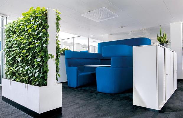 Green wall & hedge element